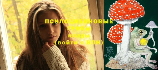 героин Богданович