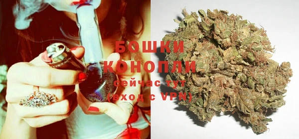ГАЛЛЮЦИНОГЕННЫЕ ГРИБЫ Богородицк