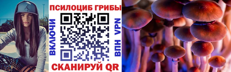 Галлюциногенные грибы мицелий  купить наркотик  Ростов 